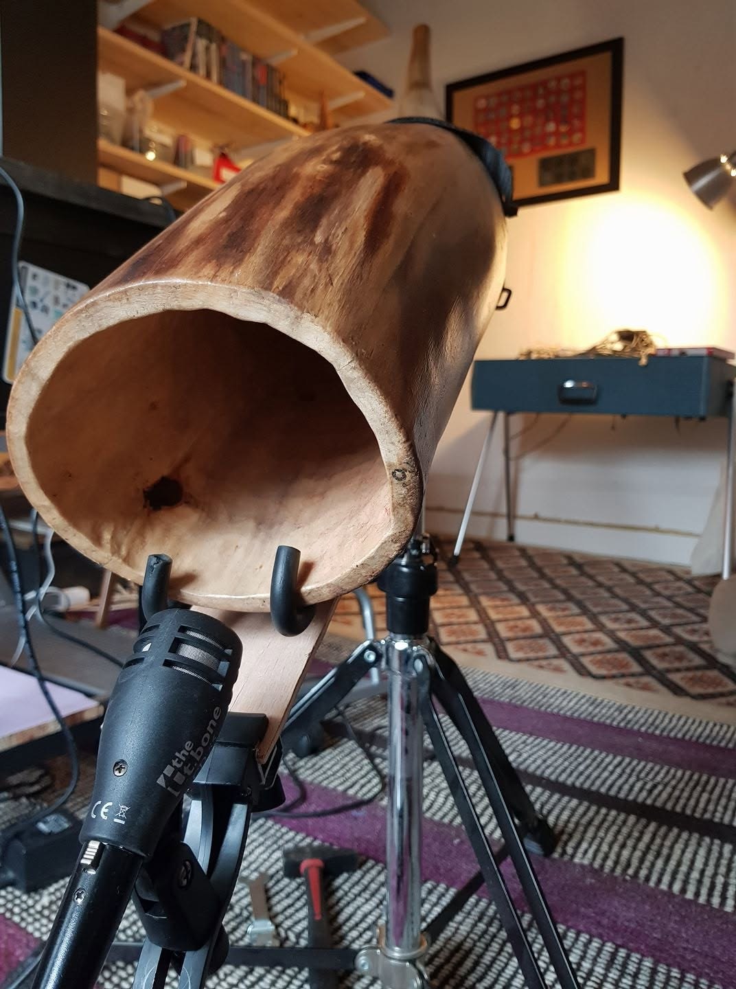 Didgeridoo en bois devant un micro